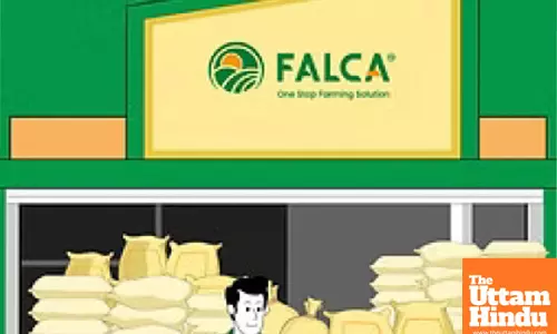 Agritech startup Falca’s loss triples to Rs 15 crore in FY24 as expenses surge over 30 pc