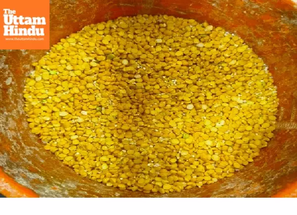 Rajasthan: Adulterated gram flour seized in Jaipur ahead of Holi Rajasthan: Adulterated gram flour seized in Jaipur ahead of Holi