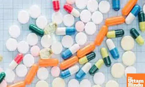 Indian pharma market to grow 8-9 per cent in FY26: Report