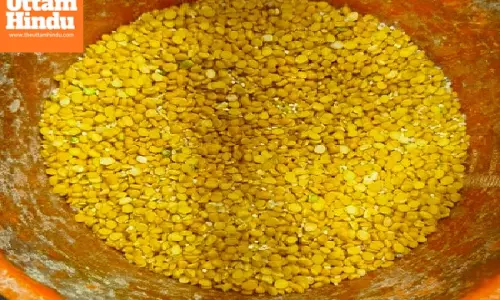 Rajasthan: Adulterated gram flour seized in Jaipur ahead of Holi