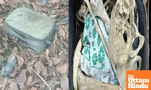 Human Skeleton Discovered Inside Suitcase on Church Premises; Police Investigating