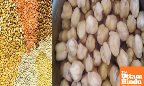 Chickpeas, lentils nutritious than oats, wheat: Study
