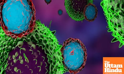 Scientists focus on a new antibody to fight treatment-resistant cancers