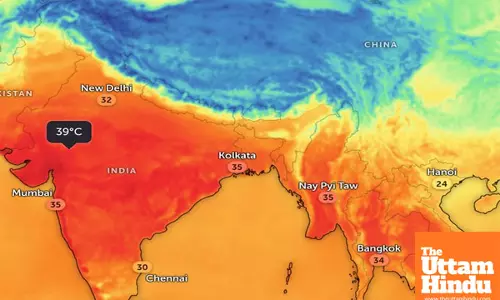 India Faces Early and Intense Heatwave in 2025, Linked to Climate Change