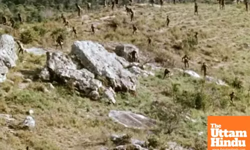 1963 Documentary “Dead Birds” Captures Ritual Warfare in Baliem Valley