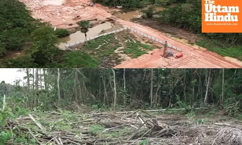 Brazil faces backlash over Amazon deforestation for climate change summit