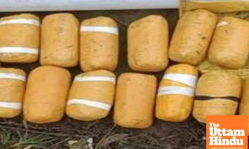 BSF recovers drug packet dropped by Pak drone near border in Rajasthan