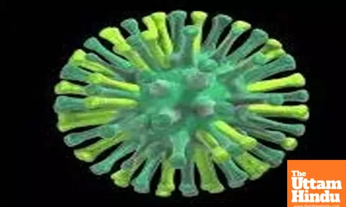 H5N1 mutation in US dairy herds prompts caution on pandemic potential