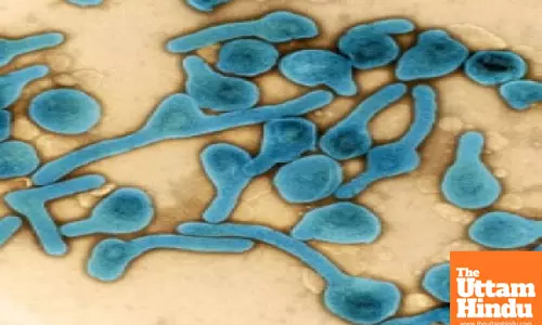 Scientists develop method to expose cancer cells to immune system