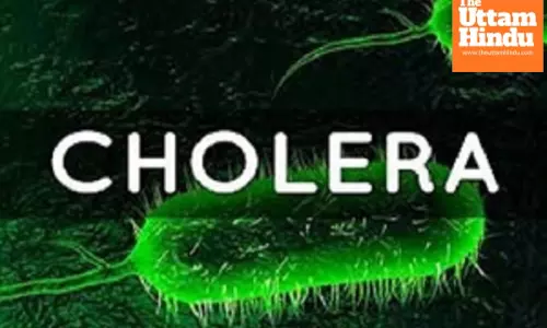 WHO, MSF urge concerted efforts to contain cholera outbreak in western Ethiopia