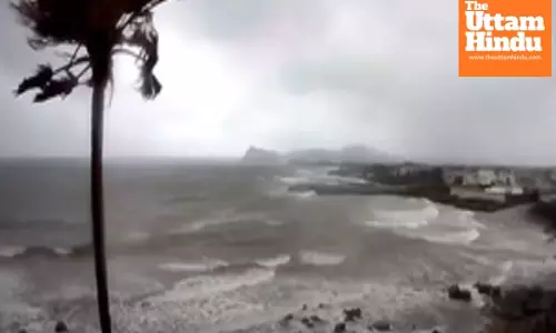 Cyclone Jude leaves 14 dead, thousands of families displaced in Mozambique