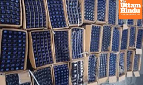 Vadodara SOG seizes illegal cough syrup worth Rs 5.78 lakh, two arrested