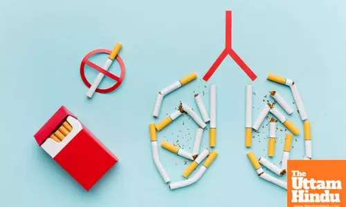 Cigarette Smoke: A Silent Danger to Multiple Organs