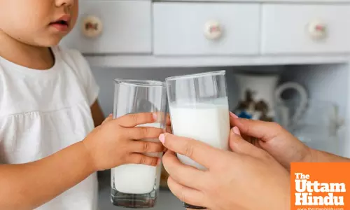 The Right Way to Drink Milk: Avoid These Common Mistakes