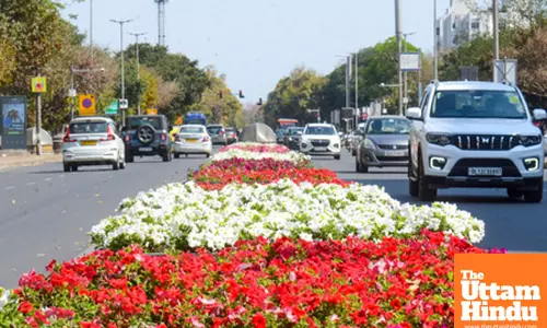 Floral Festivities at Mandi House