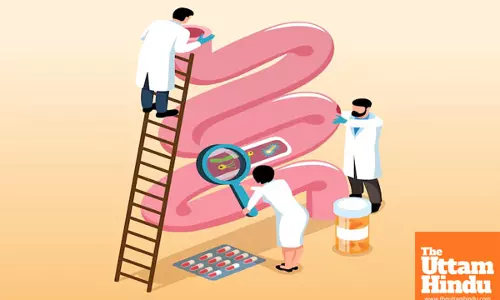 Researchers uncover changes in gut microbiota from COVID to probiotics