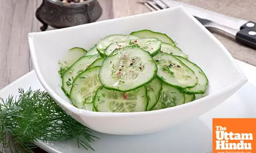 Eating Cucumber in Summer A Refreshing Health Boost Beyond Weight Loss