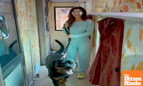 Actress Vedhika on how she realised her dream of taking her dog from Bengaluru to Kashmir to see snow