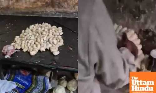 Dirty Secrets Exposed: Mohali  Momo Factory Found with Dog Meat, Filthy Conditions