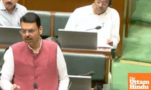 Maha govt to introduce policy to benefit local industries from thermal power plant ash: Fadnavis