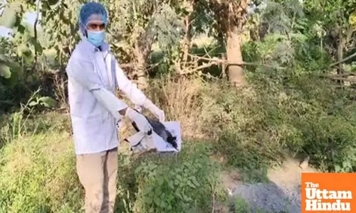 Mystery Surrounds death of 20 crows in Bihar’s Bhojpur, officials rule out Bird Flu