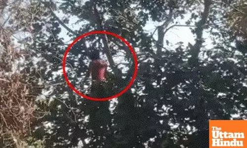 Shocking Crime in Prayagraj : Girls Body Recovered with Eyes Pecked Out by Birds; 3 Arrested