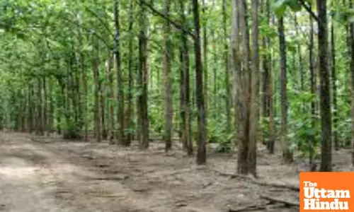 22 Maoists killed in two separate operations in Chhattisgarh