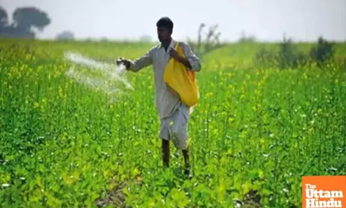 Gujarat Budget 2025: Smartphone subsidy scheme for farmers gets financial boost