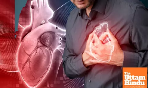 Air Pollution Could Be Killing Your Heart – Are You at Risk?