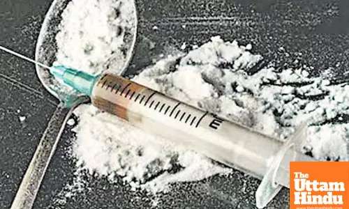 Himachal Police Busts Interstate Chitta Smuggling Gang; Nine Arrested