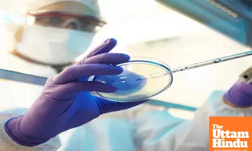 Antibody-based therapy shows promise against lethal mucormycosis