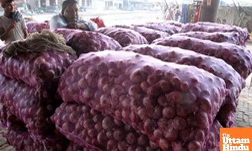 Centre withdraws 20 pc duty on onion exports from April 1