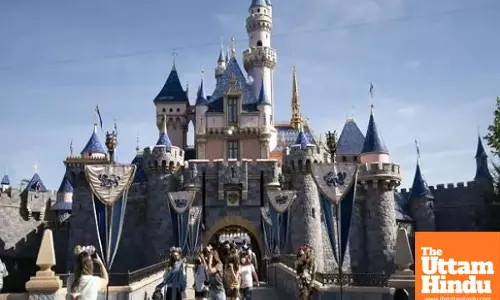 Woman Murders Son, 11, at Disneyland After Pretending to Take Him on Trip