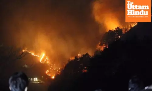 South Korea: Four killed as wildfires ravage southeastern region