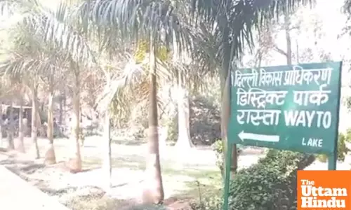 Boy, girl found hanging from tree in Delhi park