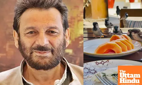 Shekhar Kapur shares his breakfast with some unexpected feathered friends