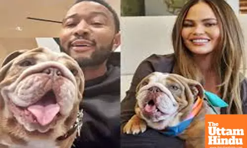 John Legend adopts puppy with wife Chrissy Teigen