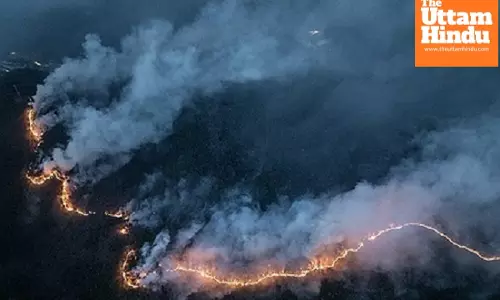 South Korean govt designates three more southeastern counties struck by wildfires as special disaster zones