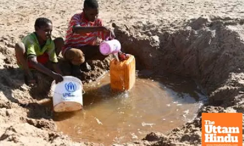 Deadly Outbreaks! Malaria & Cholera Kill 59 as Disease Crisis Worsens