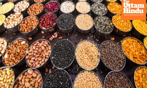 PM Modi govts higher MSP spend on pulses driving up production, exports