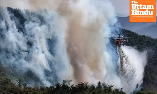 South Korea: Pilot killed as firefighting helicopter crashes in Uiseong