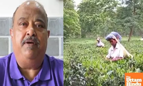 India becomes third largest tea exporter, earns revenue of Rs 7,111 crore in 2024