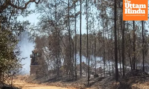 US wildfires lead to evacuations as dozens of homes burnt in Carolinas