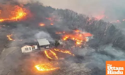 South Korea Forest Fires Rage On: 26 Dead, 30 Injured in Ongoing Disaster