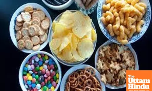 High sodium key risk factor for rising obesity levels: Study