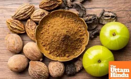 Triphala: A Blessing for Health, From Digestion to Immunity Boost