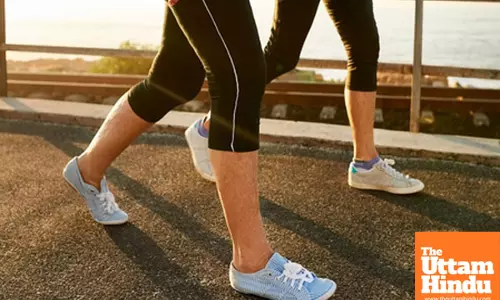 Walking for 30 Minutes Daily: A Simple Habit with Big Health Benefits