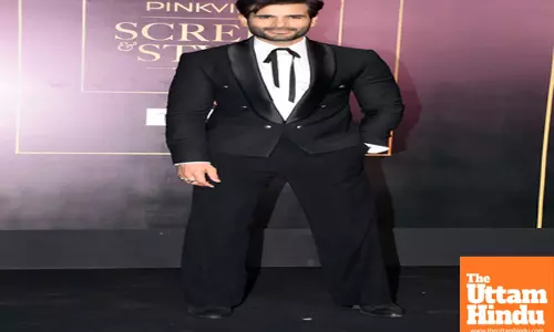 Pinkvilla Screen And Style Icons Awards 2025