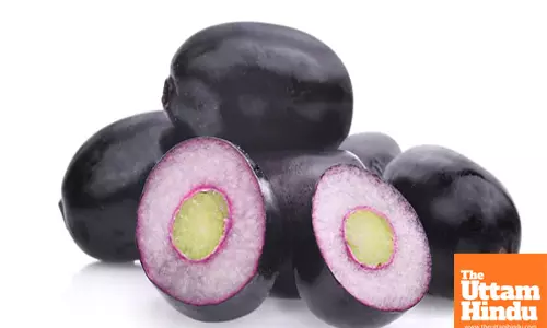 Jamun Seed Powder: A Blessing for Health, Beneficial for Various Major Diseases