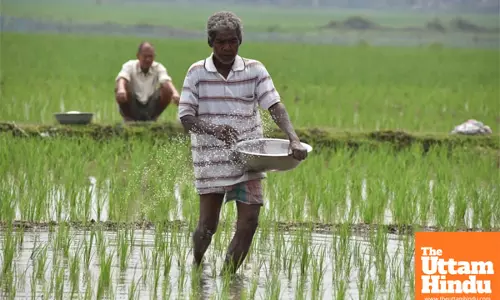 Cabinet approves Rs 37,216 crore subsidy for fertilizers to help farmers in Kharif season